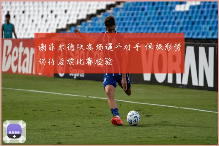 谢菲尔德联客场逼平对手 保级形势仍待后续比赛检验