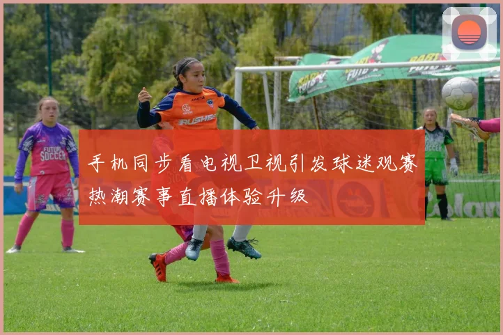 手机同步看电视卫视引发球迷观赛热潮赛事直播体验升级