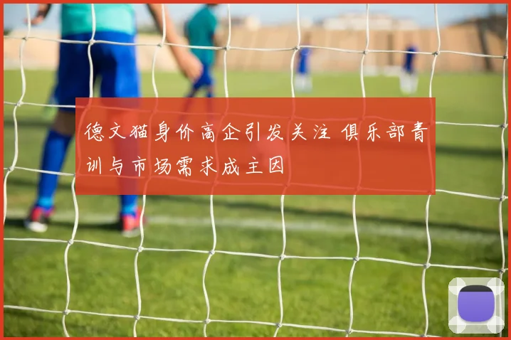 德文猫身价高企引发关注 俱乐部青训与市场需求成主因