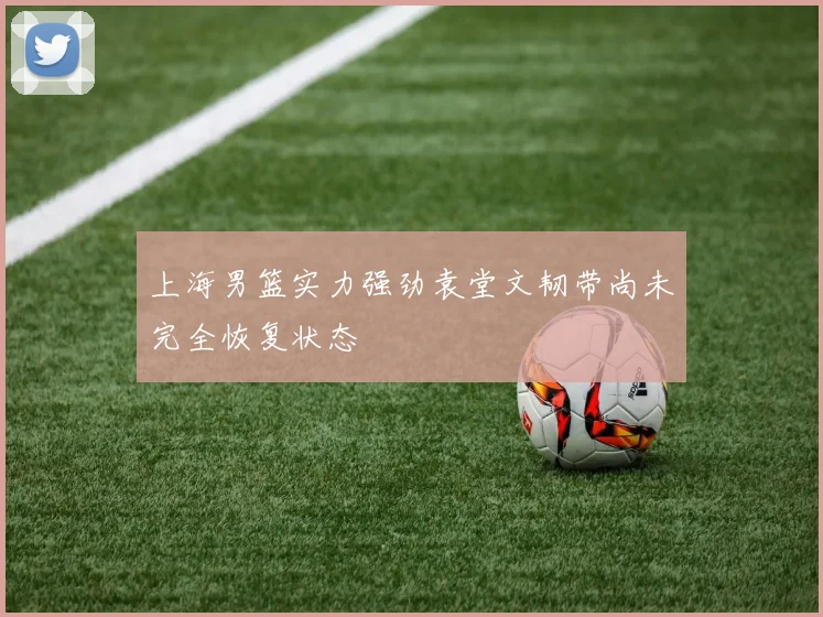 上海男篮实力强劲袁堂文韧带尚未完全恢复状态