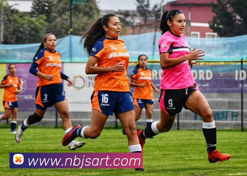 九游体育j9官网平台生态图